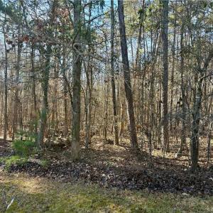 Photo #15 of 200 Harbor, Lexington, NC 4.1 acres