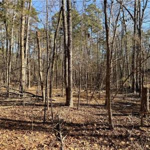 Photo #40 of 200 Harbor, Lexington, NC 4.1 acres