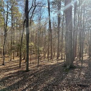 Photo #39 of 200 Harbor, Lexington, NC 4.1 acres