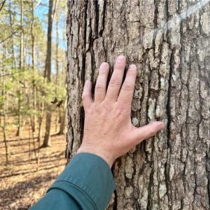 Photo #8 of 200 Harbor, Lexington, NC 4.1 acres