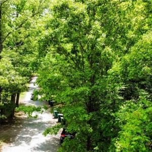 Rogers Lane easement could allow driveway access from side of property or off Eden Rd.