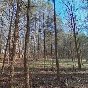 Photo #7 of Eden, Stoneville, NC 7.0 acres