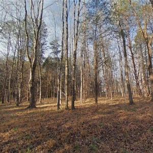 Photo #9 of Eden, Stoneville, NC 7.0 acres