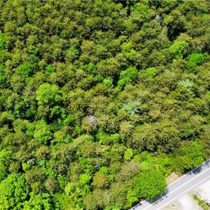 Photo #5 of Eden, Stoneville, NC 1.5 acres