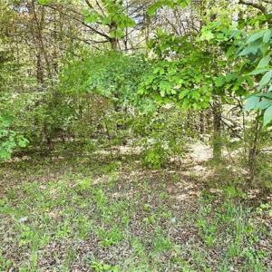 Photo #4 of Eden, Stoneville, NC 1.5 acres