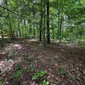 Photo #3 of Virgilina, Cana, VA 0.8 acres