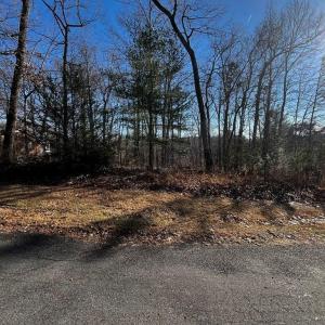 Photo #1 of Virgilina, Cana, VA 0.8 acres