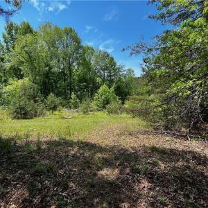 Photo #6 of Virgilina, Cana, VA 1.0 acres