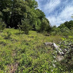 Photo #7 of Virgilina, Cana, VA 1.0 acres