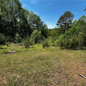 Photo #1 of Virgilina, Cana, VA 1.0 acres