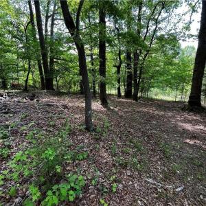 Photo #5 of Virgilina, Cana, VA 1.0 acres