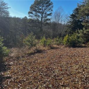 Photo #4 of Virgilina, Cana, VA 1.0 acres