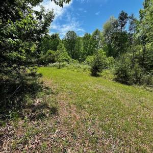 Photo #3 of Virgilina, Cana, VA 0.8 acres