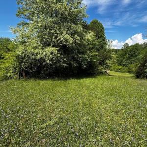 Photo #1 of Virgilina, Cana, VA 0.8 acres