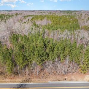 Photo #6 of 7275 Atkins, Mebane, NC 15.2 acres