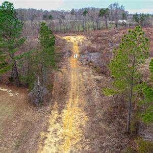 Photo #14 of - Pritchett, Browns Summit, NC 14.5 acres