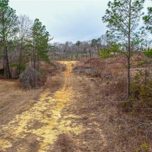 Photo #15 of - Pritchett, Browns Summit, NC 14.5 acres