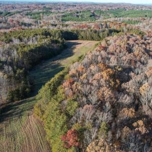 Photo #5 of State Line, Stoneville, NC 81.0 acres