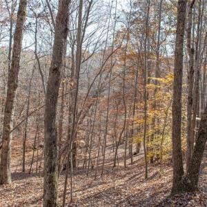 Photo #10 of State Line, Stoneville, NC 81.0 acres