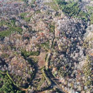 Photo #4 of State Line, Stoneville, NC 81.0 acres