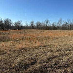 Photo #17 of 1295, 1297 & 1350 Angell, Madison, NC 24.4 acres