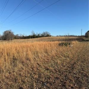 Photo #22 of 1295, 1297 & 1350 Angell, Madison, NC 24.4 acres