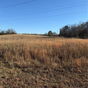 Photo #1 of 1295, 1297 & 1350 Angell, Madison, NC 24.4 acres