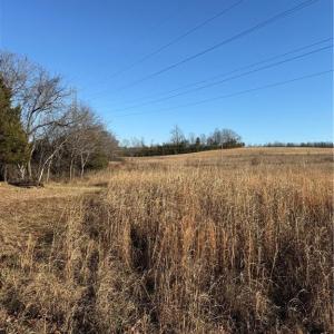 Photo #15 of 1295, 1297 & 1350 Angell, Madison, NC 24.4 acres