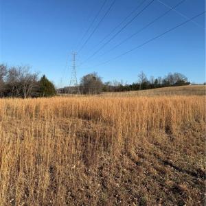 Photo #19 of 1295, 1297 & 1350 Angell, Madison, NC 24.4 acres