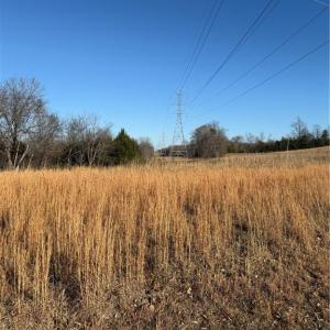 Photo #21 of 1295, 1297 & 1350 Angell, Madison, NC 24.4 acres