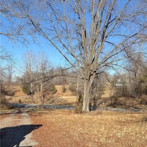 Photo #10 of 1295, 1297 & 1350 Angell, Madison, NC 24.4 acres