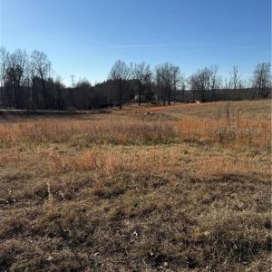 Photo #18 of 1295, 1297 & 1350 Angell, Madison, NC 24.4 acres