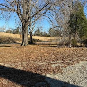 Photo #11 of 1295, 1297 & 1350 Angell, Madison, NC 24.4 acres