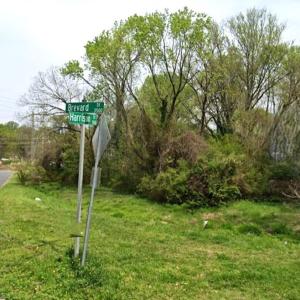 Photo #3 of 3514 Brevard, Greensboro, NC 0.3 acres