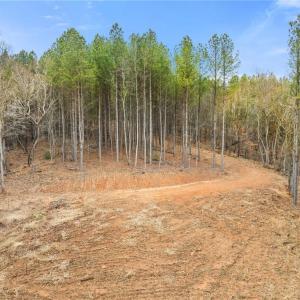 Photo #6 of Doug Stanley, Sandy Ridge, NC 33.4 acres