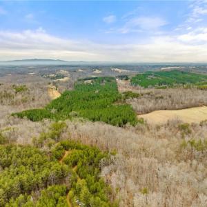 Photo #17 of Doug Stanley, Sandy Ridge, NC 33.4 acres