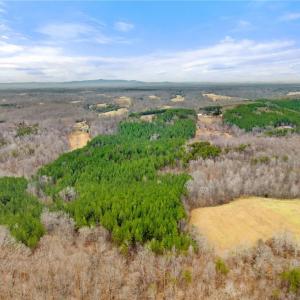 Photo #16 of Doug Stanley, Sandy Ridge, NC 33.4 acres