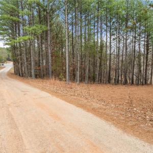 Photo #3 of Doug Stanley, Sandy Ridge, NC 33.4 acres