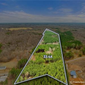 Photo #1 of Doug Stanley, Sandy Ridge, NC 33.4 acres