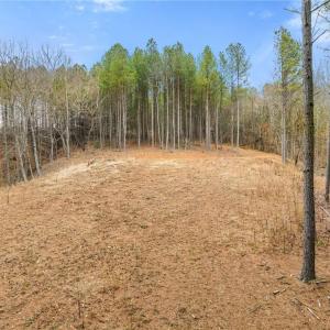Photo #9 of Doug Stanley, Sandy Ridge, NC 33.4 acres