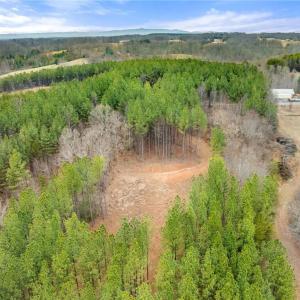 Photo #14 of Doug Stanley, Sandy Ridge, NC 33.4 acres