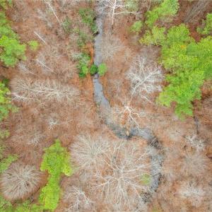 Photo #11 of Doug Stanley, Sandy Ridge, NC 33.4 acres