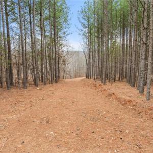 Photo #4 of Doug Stanley, Sandy Ridge, NC 33.4 acres