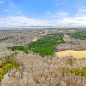 Photo #6 of Doug Stanley, Sandy Ridge, NC 33.4 acres