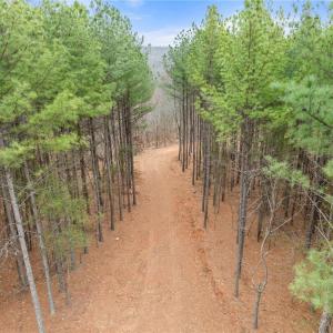 Photo #3 of Doug Stanley, Sandy Ridge, NC 33.4 acres