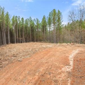 Photo #8 of Doug Stanley, Sandy Ridge, NC 33.4 acres