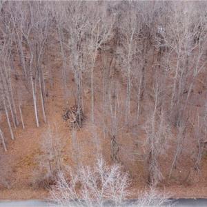 Photo #5 of Lacie Nichole, Graham, NC 1.3 acres