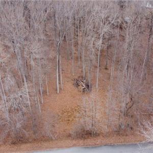 Photo #4 of Lacie Nichole, Graham, NC 1.3 acres