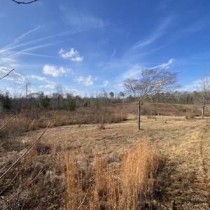 Photo #2 of Johnny Shaw, Moncure, NC 10.1 acres