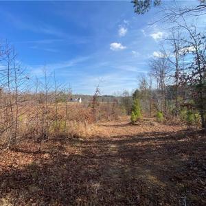 Photo #6 of Johnny Shaw, Moncure, NC 10.1 acres